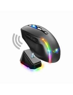 Spirit of Gamer Raton... 2