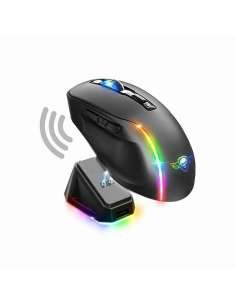 Spirit of Gamer Raton...